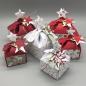 Preview: Box Weihnachten rot Varianten Verpackung
