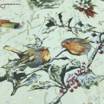Album Buch Fotos Vögel Weihnachtsmotiv Golddruck Details