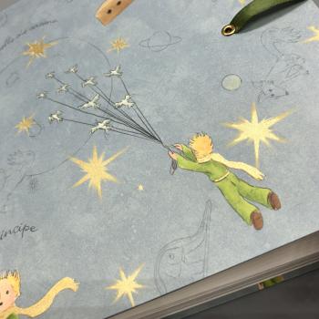 Geschenkverpackung Papierbogen Junge Erzählung Saint-Exupéry Detail Golddruck