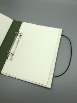Ringbuch Hefter Ringmechanik Seiten Buntstifte grün bunt