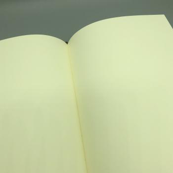 Notizbuch blanko Innenseiten, fadengeheftet