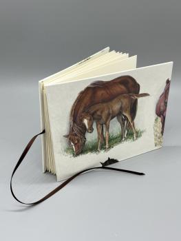 Buch Sammetaschen Satinband handgebunden Notizen Steckfächer sammeln Pferd Fohlen