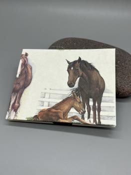 Rückseite Buch Satinband handgebunden Notizen Steckfächer Seiten sammeln Pferd Pony