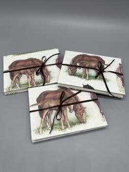 Buch Sammetaschen Satinband handgebunden Notizen Steckfächer Seiten sammeln Pferd Fohlen Varianten Front