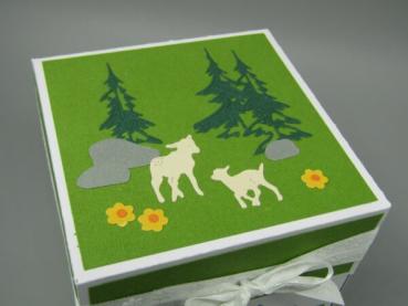 Geschenk Überraschung Schachtel Reise Bergtour Ziegen Tannen Deckel