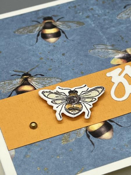 Detail handkoloriertes Bienchen auf gelbem Streifen