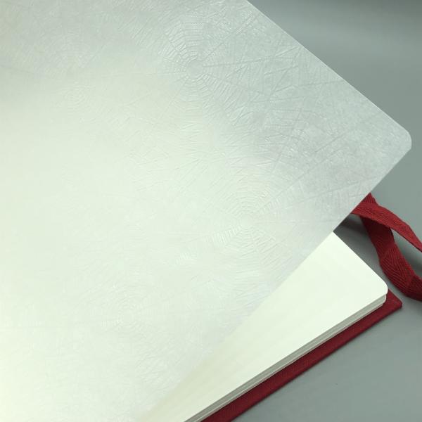Buch Fotos Trennseiten Pergamin Spinnenpapier