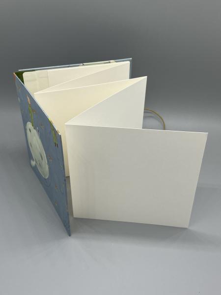 Buch Fotos Faltbuch Innenseiten weiß zickzack