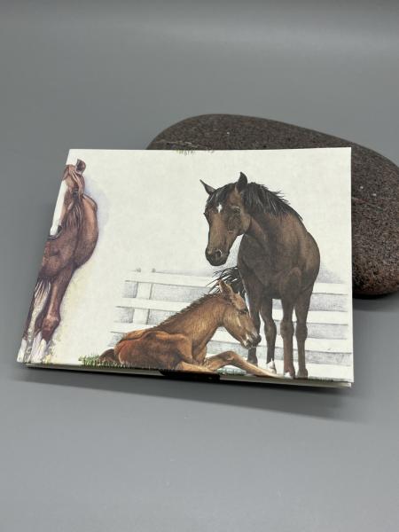 Rückseite Buch Satinband handgebunden Notizen Steckfächer Seiten sammeln Pferd Pony