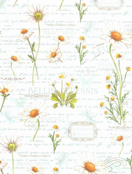 Geschenkpapier Golddruck Kartos Blumen Blüten weiß hellblau Einzelbogen Herstellerfoto