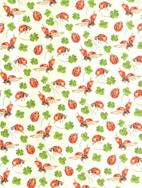 Geschenkpapier Golddruck Kartos Blumen Blüten weiß hellblau Einzelbogen Herstellerfoto